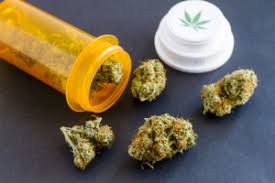 Acquire a valid maryland medical card and stay protected from getting into legal. Medical Marijuana Card Doctor Rockville Md Pain Arthritis Relief Center