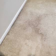bruce s carpet cleaning 15 photos