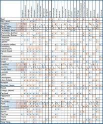 Herbs Table Chart Pdf Ingredient Substitutions In 2019
