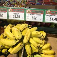 Burro Bananas Information Recipes And Facts