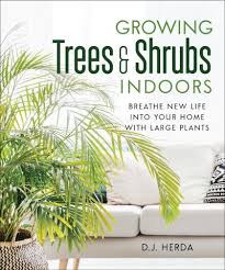 Growing Trees And Shrubs Indoors New
