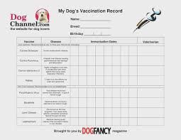 Dog Vaccination Certificate Template Kozen Jasonkellyphoto Co