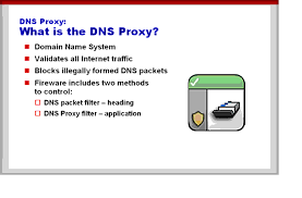 Determines what type of name resolution the client. What Are Dns And The Dns Proxy