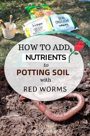 Potting Soil With Red Worms