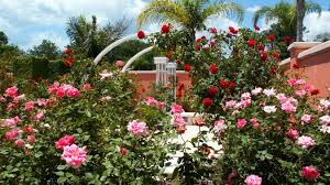 Florida Botanical Gardens Pinellas County
