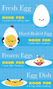 the ultimate guide to egg nutrition bodi