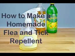 homemade flea and tick repellent