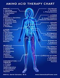 Amino Acid Therapy Chart Best Picture Of Chart Anyimage Org