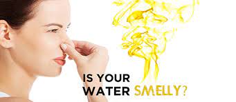 sulfur water problems best water