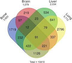 renal cell carcinoma ysis