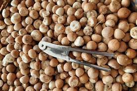 puttur areca nut imported from bhutan
