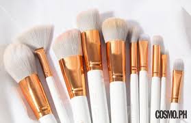 anne clutz brushes review