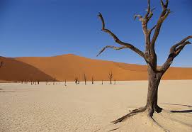 HIS 絶景 - ナミブ砂漠