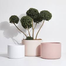 regular pots outdoor designer
