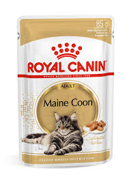 royal canin maine best in