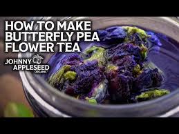 how to make erfly pea flower tea