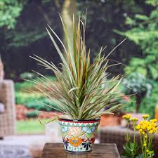 Colourful Fl Ceramic Flower Pot