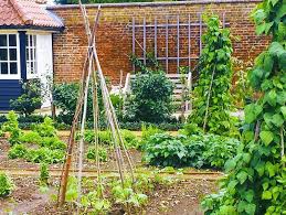 Why A Potager Garden Makes The Best