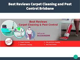 best reviews carpet cleaning and pest
