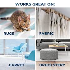 carpet cleaner