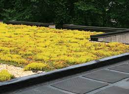 How To Build A Roof Garden Creating A
