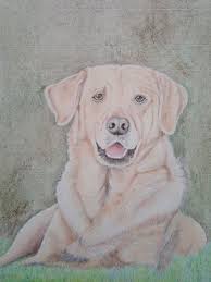 Color Pencil Dog Mag Paintings