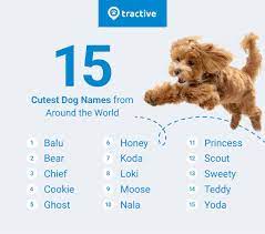common dog names worldwide