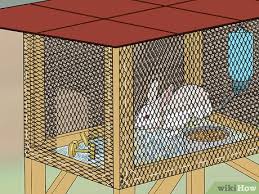 How To Build A Rabbit Hutch With
