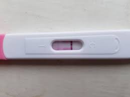 We test the following hypotheses. Invalid Pregnancy Test Images