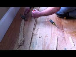 powder post beetle hardwood floor damage