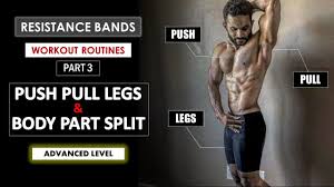push pull legs and body part split