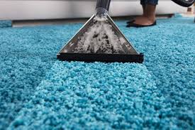 how to steam clean carpets naturally