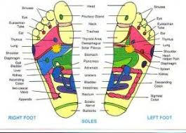 Reflexology Chart Health Nutrition And Tips For Your