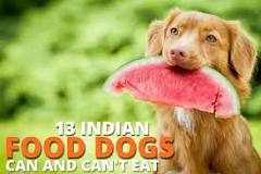 what-indian-food-can-dogs-eat