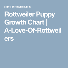 Rottweiler Puppy Growth Chart A Love Of Rottweilers