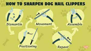 how to sharpen dog nail clippers