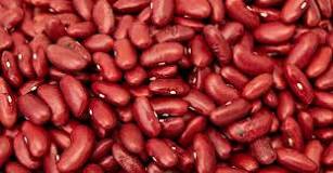 Are red beans protein or carbs?