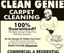 carpet cleaning in hstead nc
