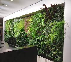 Emirates House Indoor Green Wall