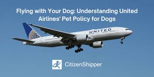 united airlines pet policy