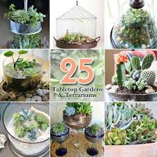25 Ideas For Tabletop Gardens And