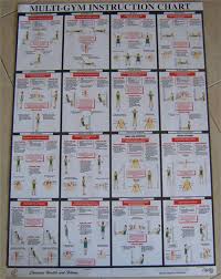 Abiding Weider 9640 Exercise Chart Weider Pro 4850 Assembly