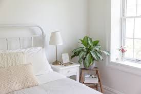 plants in your bedroom for good feng shui