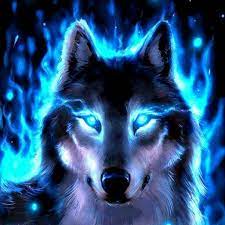 amazing wolf wallpapers by s hussain