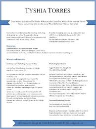 Free Resume Examples   Job Type  Career Level and Industry SP ZOZ   ukowo ECO executive level resume template