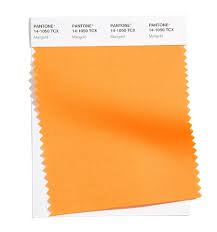 Pantone colour of the year 2021. Fashion Color Trend Report New York Fashion Week Spring Summer 2021 Pantone