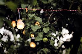Which Garden Lights Are The Best The