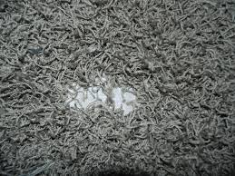 bald spots on a carpet are the result