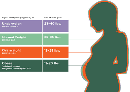 Tdee And Macro Calculations For Pregnant Or Breastfeeding Women