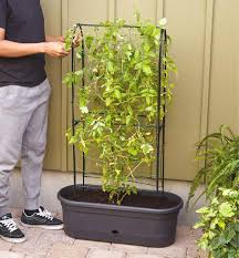 elho self watering planter with trellis